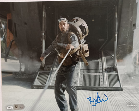 Riz Ahmed 8x10 COA