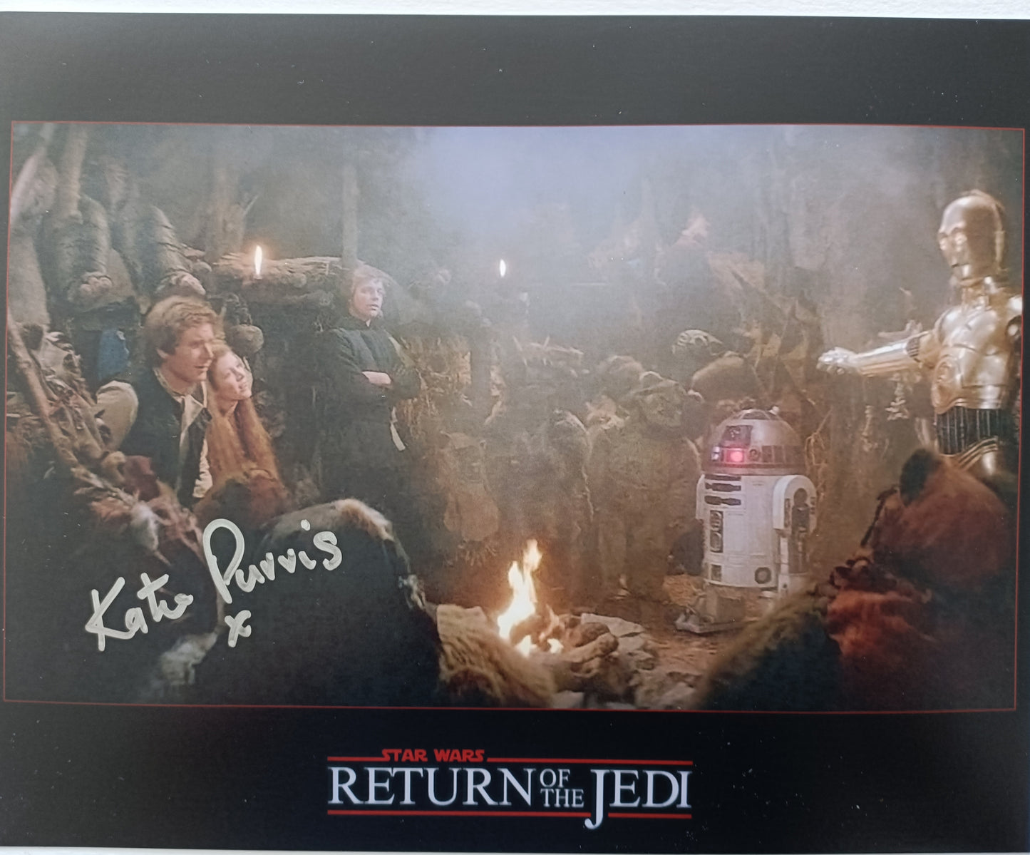 katie purvis 8x10 ewok