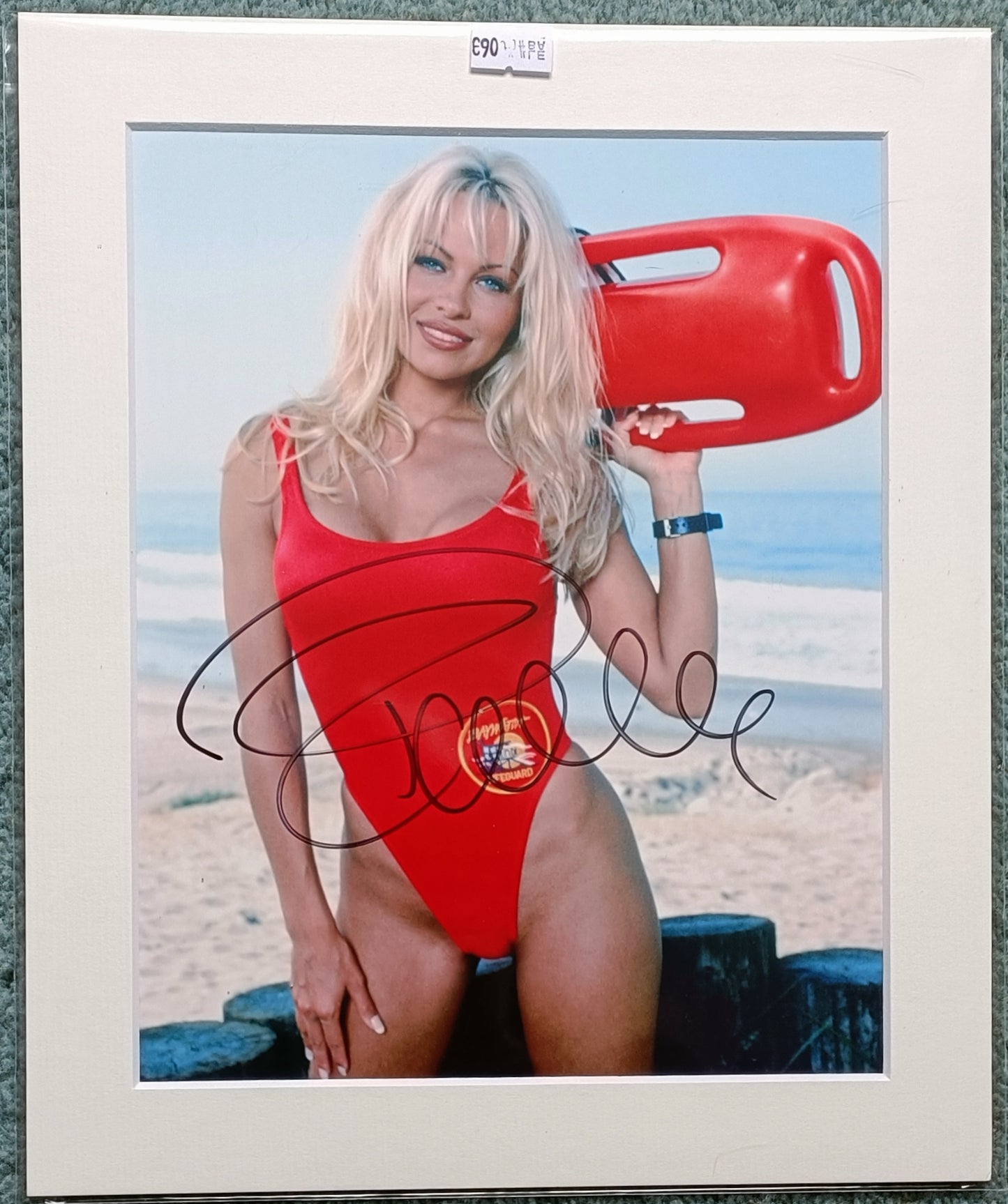 pamela anderson 8x10